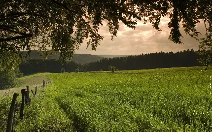 تصویر پروفایل از منظره طبیعی مناسب افراد احساسی و رمانتیک