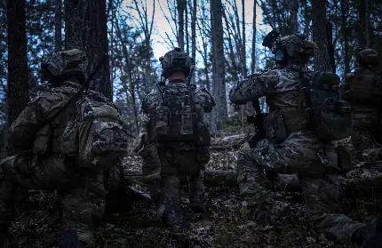 عکس سربازان مخفی شده در میان درختان جنگلی