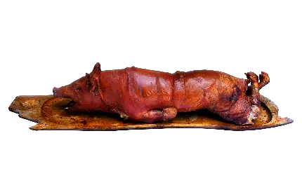دانلود عکس های گوشت خوک تازه با فرمت PNG