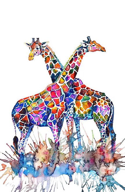 فایل دور بری شده هنری زرافه های نر و ماده با رنگ آمیزی جذاب