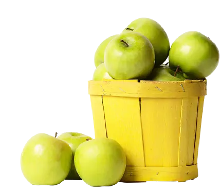 پی ان جی ساده سطل پر از سیب های رسیده زرد با کیفیت