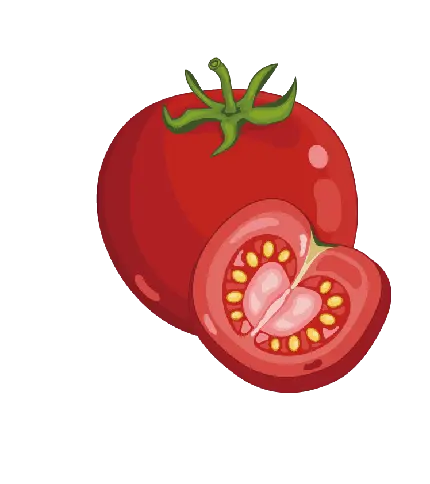 عکس گوجه فرنگی یا بادنجان رومی Solanum lycopersicum