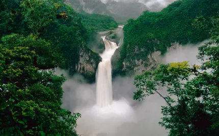 پروفایل از منظره آبشار در دل جنگل وسیع و سرسبز بازانی