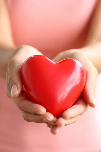 دانلود عکس استوک قلب قرمز ولنتاین در دستان خانم 