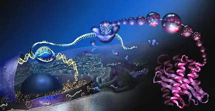 عکس ژنتیک مولکولی در رشته ی جذاب میکروبیولوژی