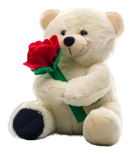 عکس png خرس عروسکی سفید با گل رز قرمز پارچه ای در دستش
