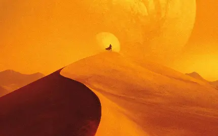 جذاب ترین پوستر سینمایی تلماسه Dune 2 برای چاپ