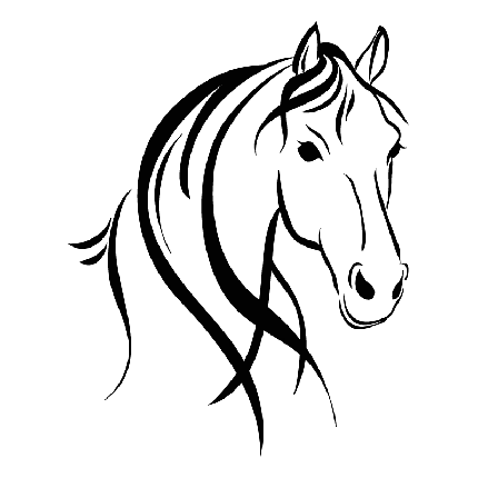 دانلود png نقاشی سر اسب زیبا با زمینه شفاف