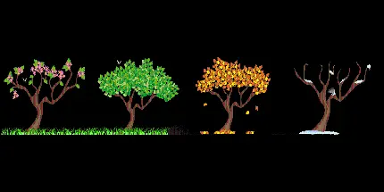 درخت فانتزی و کارتونی در چهار فصل سال با تصویر png