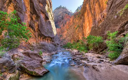 عکس خیلی خوشگل از منظره پارک ملی زایان در ايالات متحده آمریکا