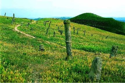 عکس جاده شمال تو ماشین