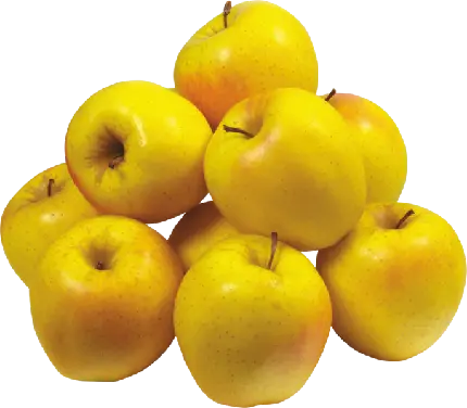 دانلود PNG رایگان سیب های زرد خوشمزه و شیرین با کیفیت عالی
