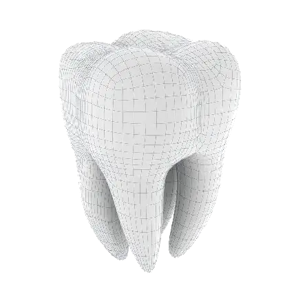 دانلود طرح لایه باز و عکس دندان دوربری شده با فرمت PNG