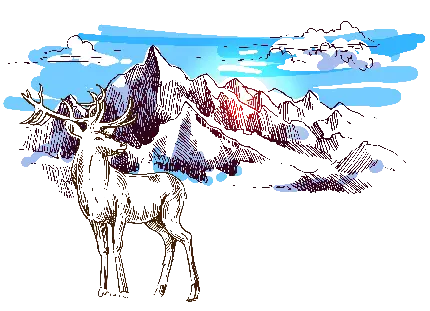 تصویر PNG و زیبا هنری گوزن Deer دوربری شده و بدون زمینه