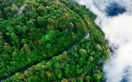 دانلود عکس استوک  منظره و چشم انداز طبیعی و سرسبز مازندران