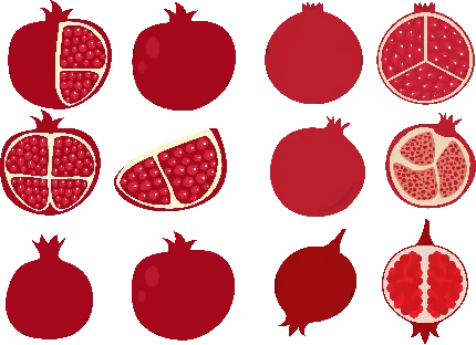 نقاشی انار زیبا