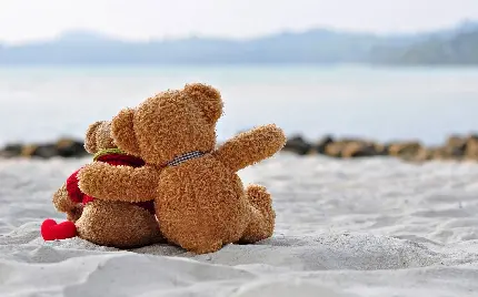 پس زمینه عاشقانه خرس های عروسکی در شن و ماسه های ساحل