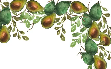 نقاشی میوه آووکادو کارتونی روی شاخ و برگ های درخت
