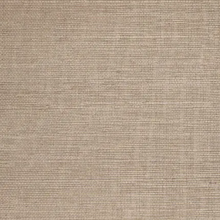 بک گراند سفید کیوت