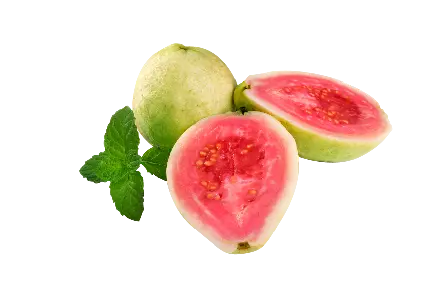 تصاویر PNG میوه گواوا یا امرود با پوستی سبز یا زرد رنگ