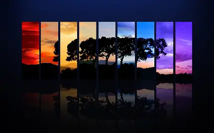 جدیدترین تصویر زمینه سایه درخت و 9 رنگ مختلف از آسمان