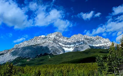 تصویر استوک رویایی از طبیعت پاک و بدون آلودگی برای پروفایل 