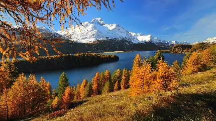 تصویر رویایی از منظره پاییزی برای پروفایل شبکه های مجازی