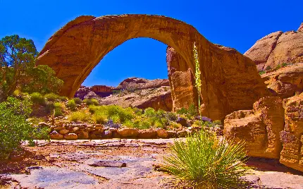 عکس زیباترین منظره در یوتا از مکان بنای یادبود ملی پل رنگین کمان