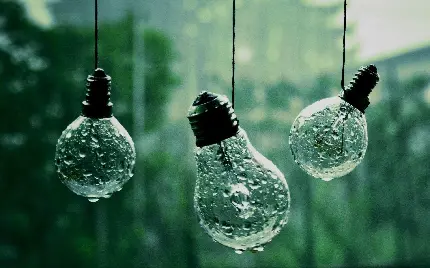 عکس لامپ های باران خورده در طبیعت با حال و هوای آرامبخش