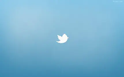 تصویر لوگو و عکس پرنده نشان برنامه X توییتر با زمینه آبی روشن 