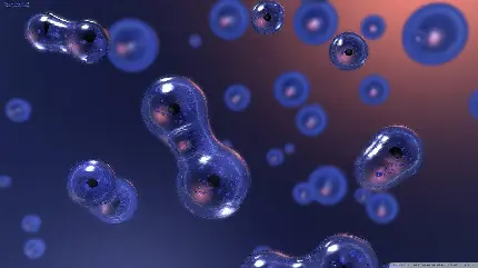 تصویر فوق با کیفیت مربوط به میکروبیولوژی از سلول های بنیادی