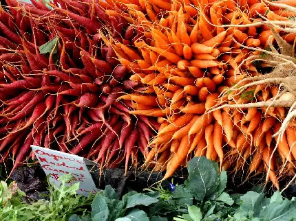 عکس بازار کشاورزی هویج های نارنجی و آبدار 
