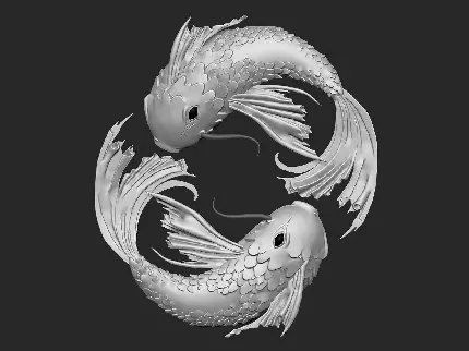 دانلود تصویر ماهی یین و یانگ نقره ای با ظاهر فلزی