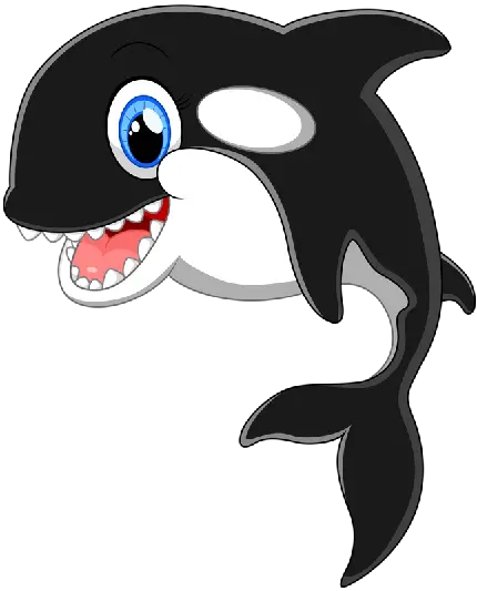 عکس پی ان جی نهنگ قاتل کارتونی با چشمان درشت آبی و لبخند بزرگ