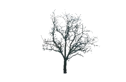 جدیدترین تصویر درخت برفی PNG منتشر شده در سال ۲۰۲۴