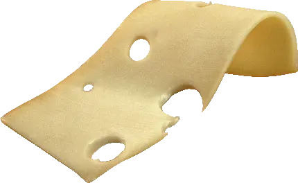 تصویر PNG لایه نازک پنیر مشهور و مقوی بز برای طراحی و ادیت