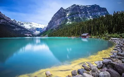 قشنگ ترین تصویر دریاچه پر آب شفاف کوهستانی جنگلی با کیفیت HD 