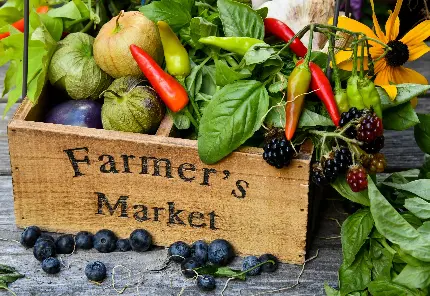 تصویر ساده بازار کشاورزی میوه و سبزیجات تازه خارجی 