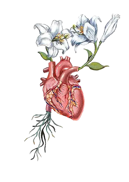 عکس خالکوبی نقاشی قلب ترکیب شده با گل های سفید مدل 1403