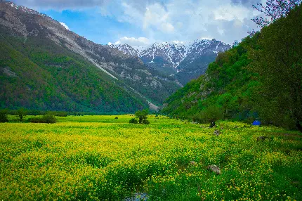 تصویر زیبا از طبیعت دیدنی ایران برای مسافرت و تفریح 1403