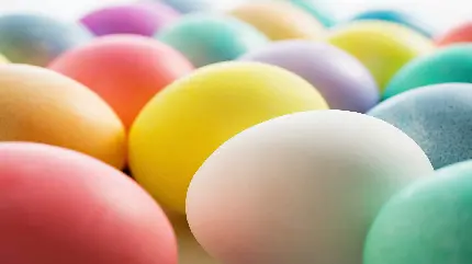 دانلود رایگان تصویر از تخم مرغ های رنگی رنگی برای بکگراند دسکتاپ