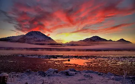 عکس گرفته شده از خلیج Cook Inlet یکی از مناظر زیبای جهان