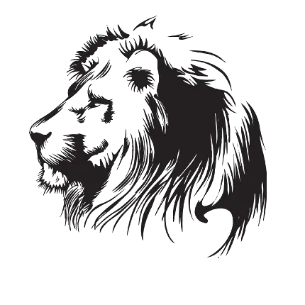 دانلود رایگان PNG سر شیر PNG Lion Head با کیفیت بالا