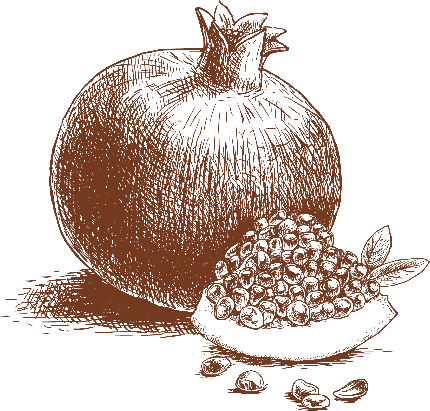 نقاشی انار زیبا