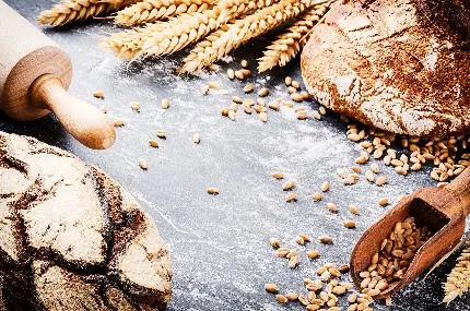 عکس دانه و خوشه های گندم برای پخت کیک و نان با کیفیت خوب