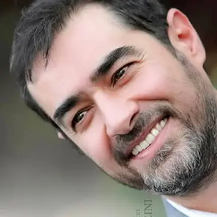 هنرپیشه با استعداد زاده ایران شهاب حسینی