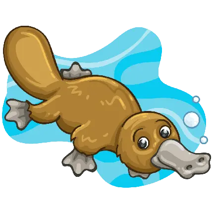 تصویر PNG نوک اردکی کارتونی زیر آب در حال شنا