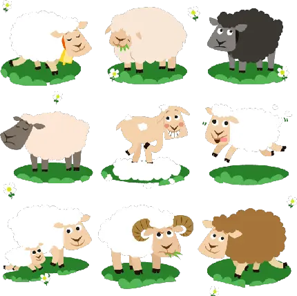 آیکون و استیکر گوسفند کارتونی در شکل ها و رنگ های مختلف
