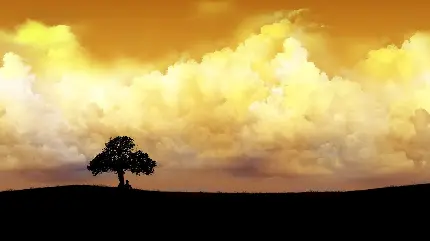 سایه تک درخت با پس زمینه آسمان بی نظیر طلایی با ابرهای تماشایی