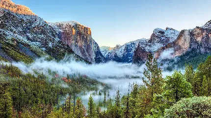 عکس زمینه و والپیپر مه های روان بر فراز کوه ها و درختان طبیعت 